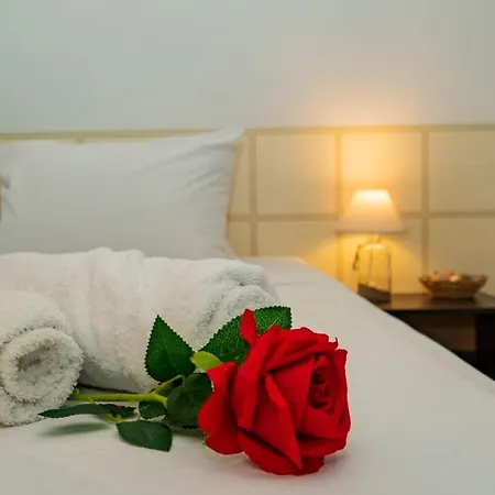 招待所 Elidis 普里莫尔斯科