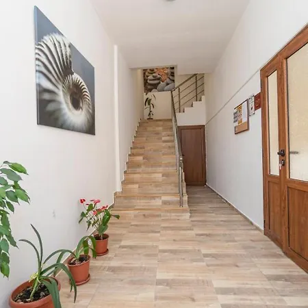 Elidis 普里莫尔斯科