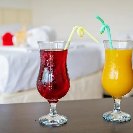 Elidis 招待所 普里莫尔斯科