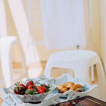 Elidis 普里莫尔斯科