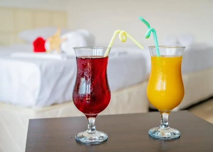 Elidis Guest house Primorsko